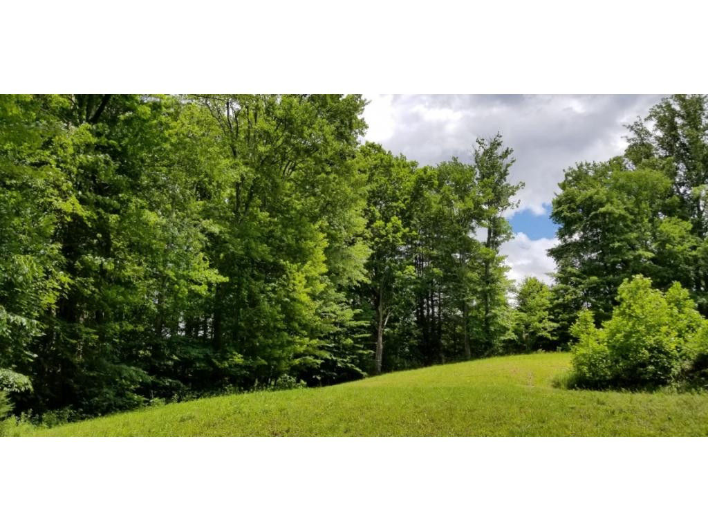210 Pine Hill Road Unicoi, TN 37692 - Photo 12 of 34 Photo 12
