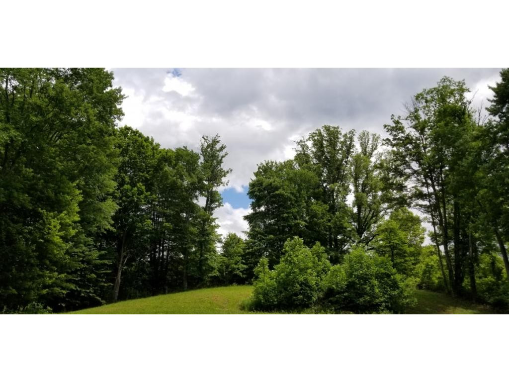 210 Pine Hill Road Unicoi, TN 37692 - Photo 13 of 34 Photo 13