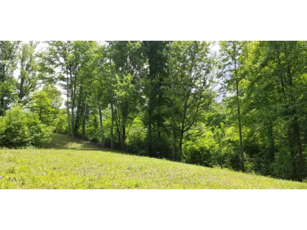 210 Pine Hill Road Unicoi, TN 37692 - Photo 14 of 34 Photo 14
