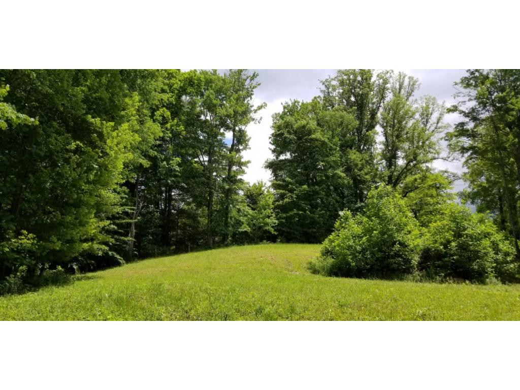 210 Pine Hill Road Unicoi, TN 37692 - Photo 15 of 34 Photo 15
