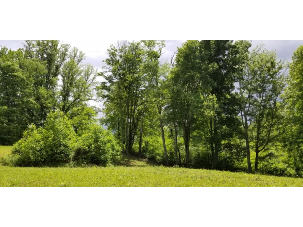 210 Pine Hill Road Unicoi, TN 37692 - Photo 16 of 34 Photo 16