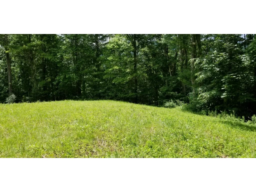 210 Pine Hill Road Unicoi, TN 37692 - Photo 17 of 34 Photo 17