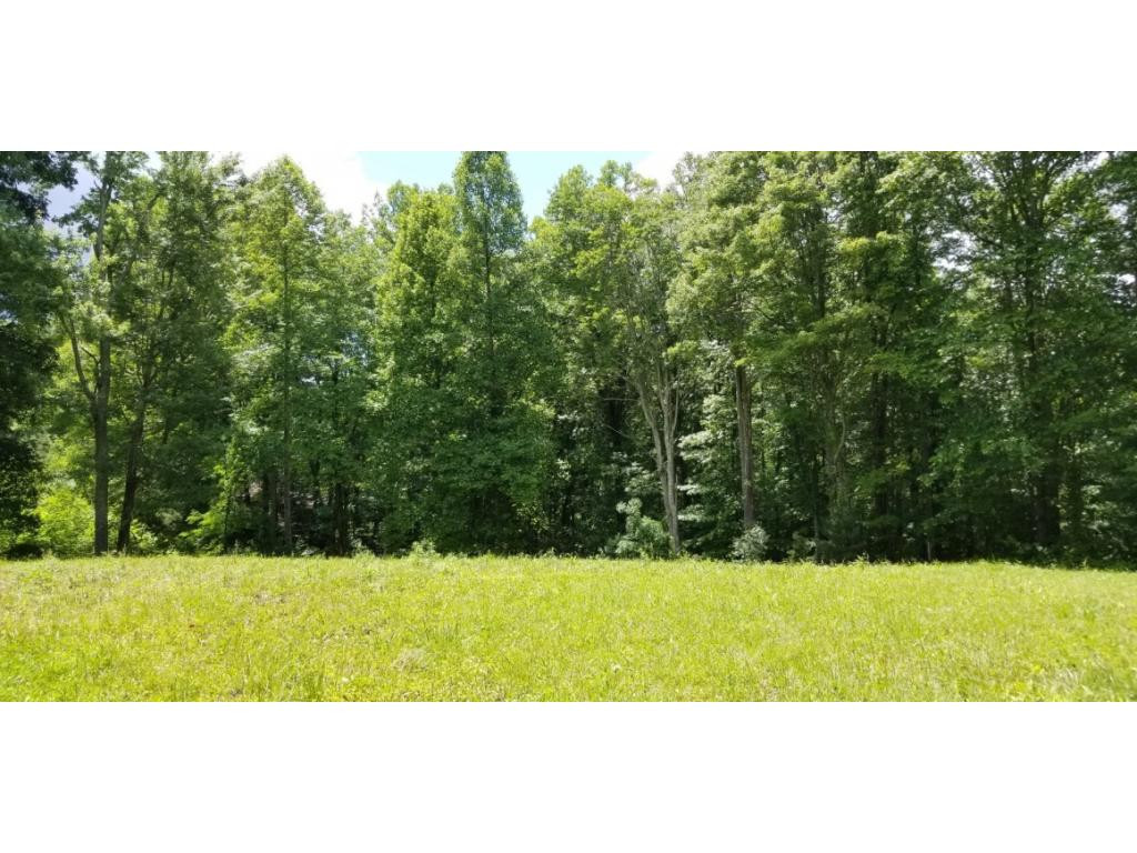 210 Pine Hill Road Unicoi, TN 37692 - Photo 18 of 34 Photo 18