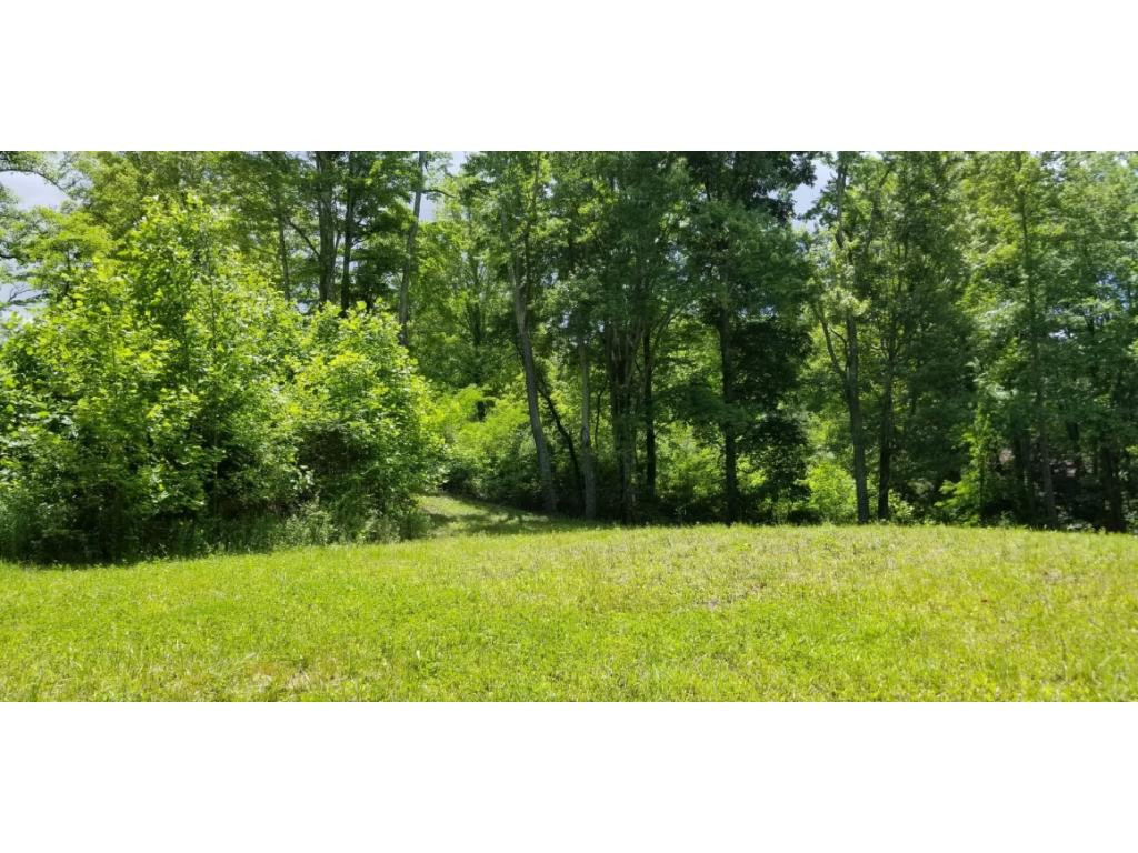 210 Pine Hill Road Unicoi, TN 37692 - Photo 19 of 34 Photo 19