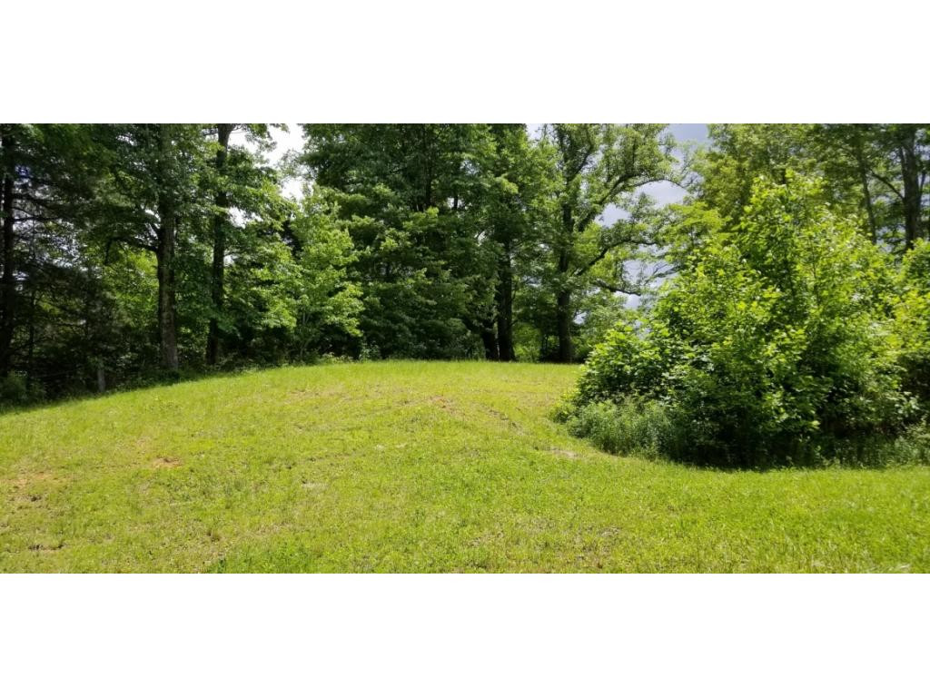 210 Pine Hill Road Unicoi, TN 37692 - Photo 20 of 34 Photo 20