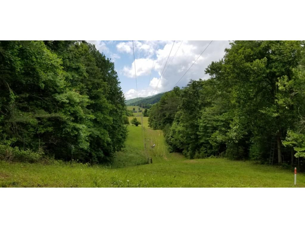 210 Pine Hill Road Unicoi, TN 37692 - Photo 2 of 34 Photo 2