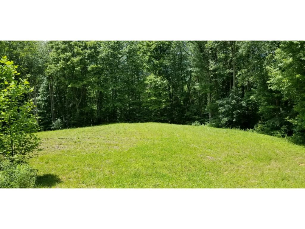 210 Pine Hill Road Unicoi, TN 37692 - Photo 21 of 34 Photo 21