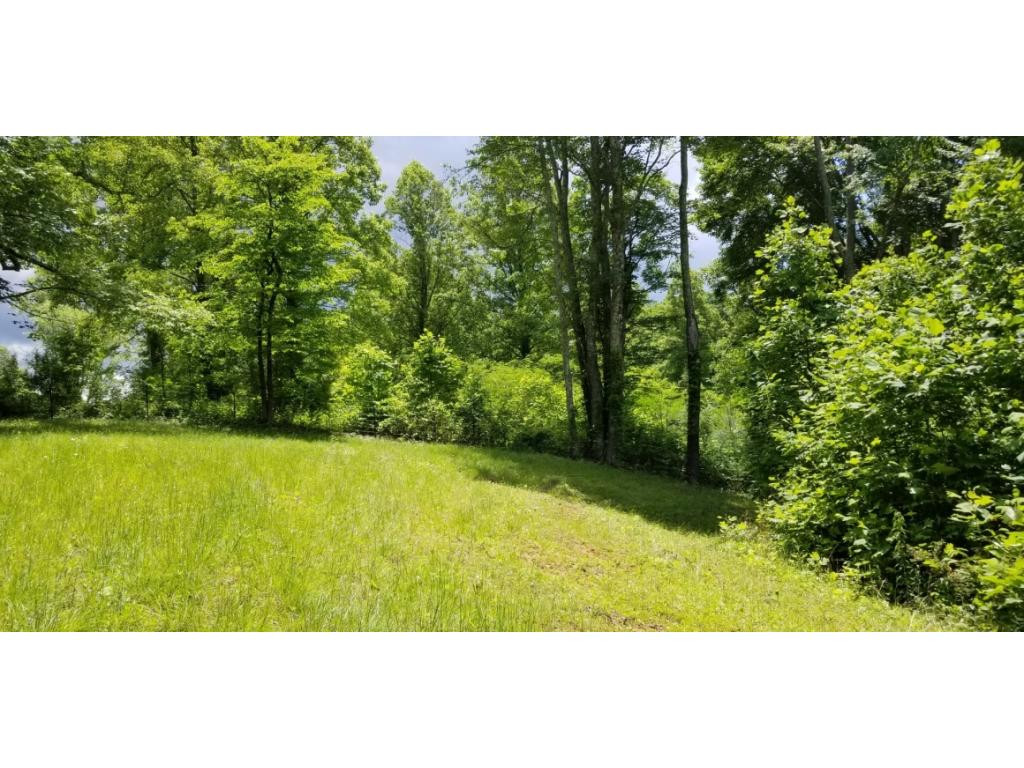 210 Pine Hill Road Unicoi, TN 37692 - Photo 22 of 34 Photo 22