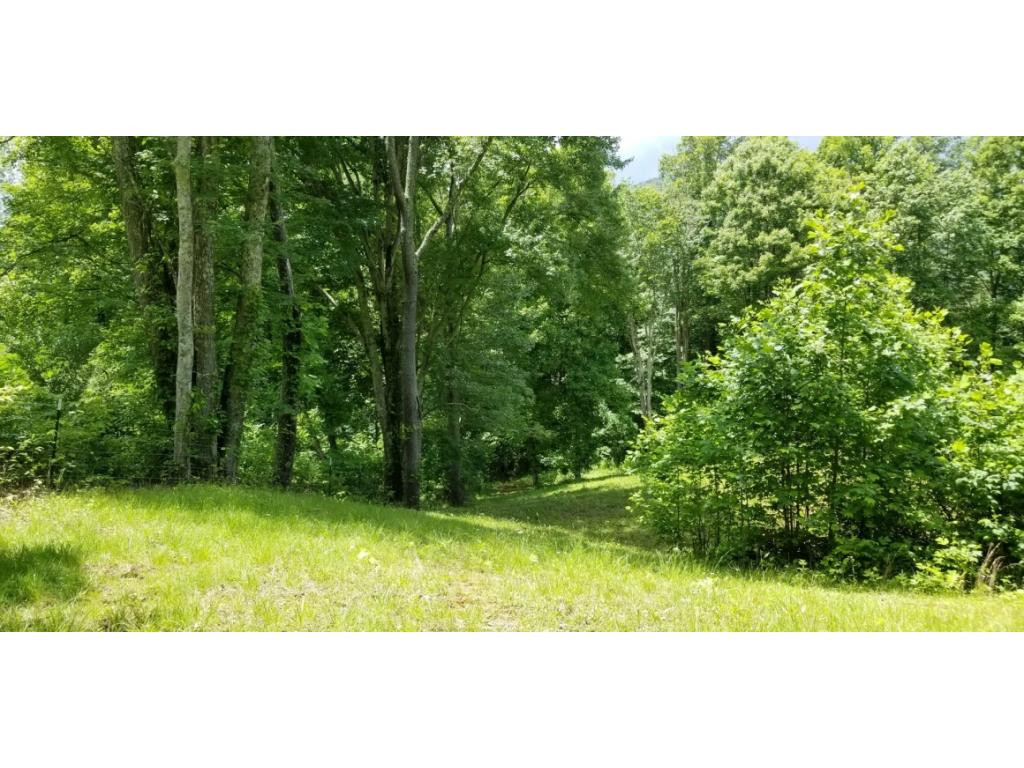210 Pine Hill Road Unicoi, TN 37692 - Photo 23 of 34 Photo 23
