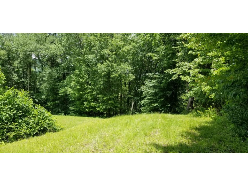 210 Pine Hill Road Unicoi, TN 37692 - Photo 24 of 34 Photo 24
