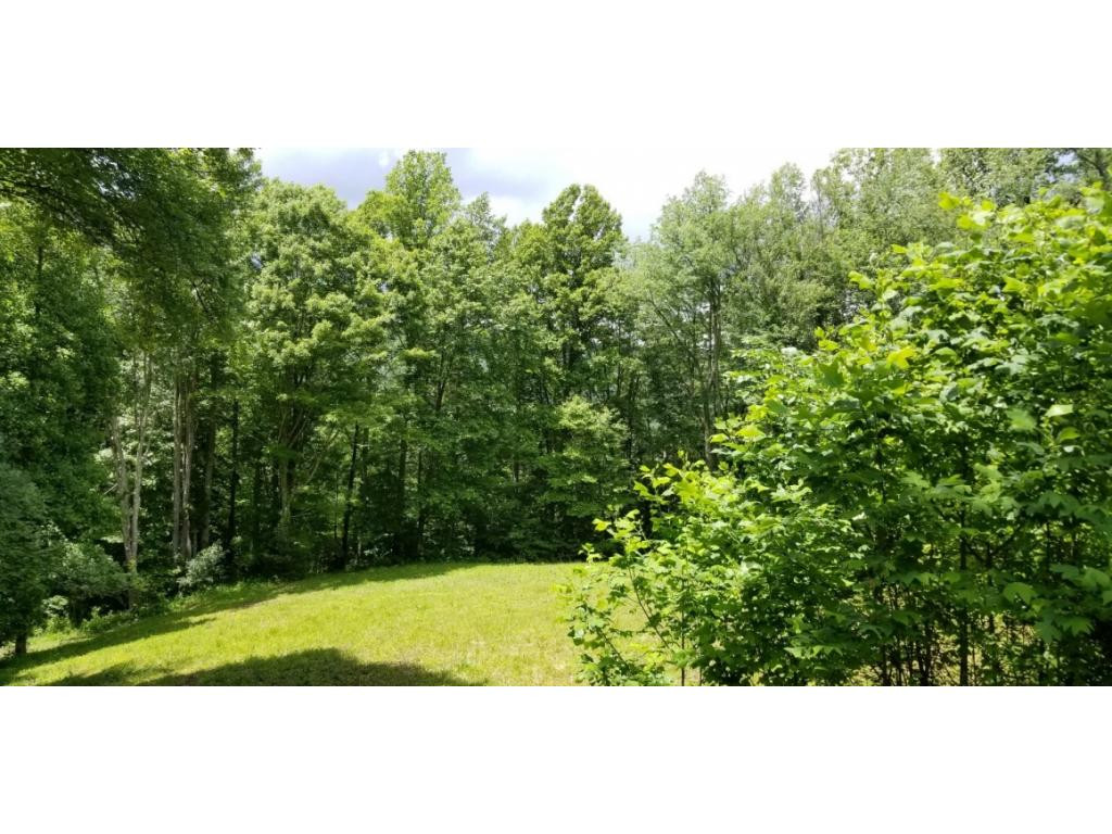 210 Pine Hill Road Unicoi, TN 37692 - Photo 25 of 34 Photo 25