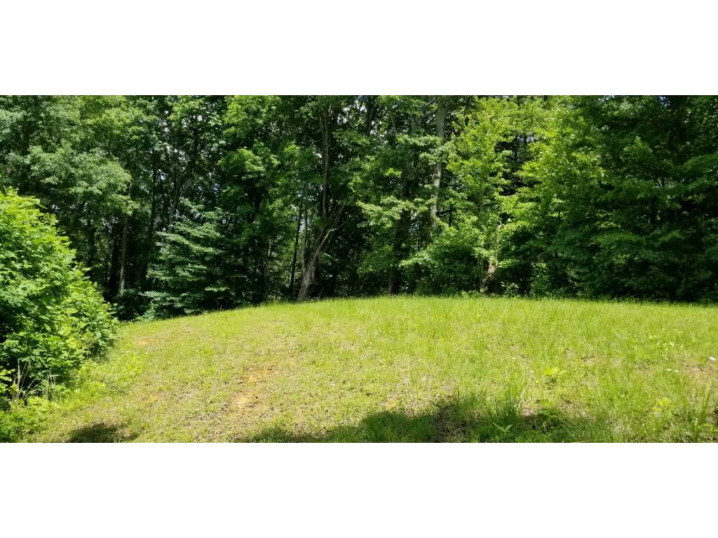 210 Pine Hill Road Unicoi, TN 37692 - Photo 27 of 34 Photo 27