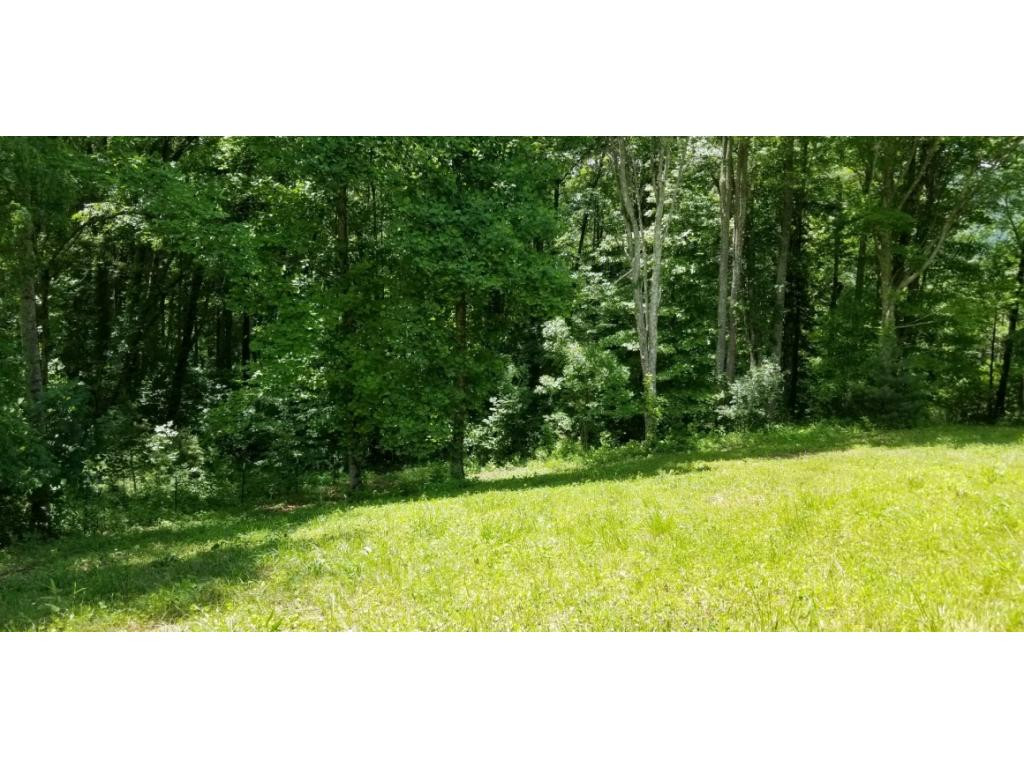 210 Pine Hill Road Unicoi, TN 37692 - Photo 29 of 34 Photo 29