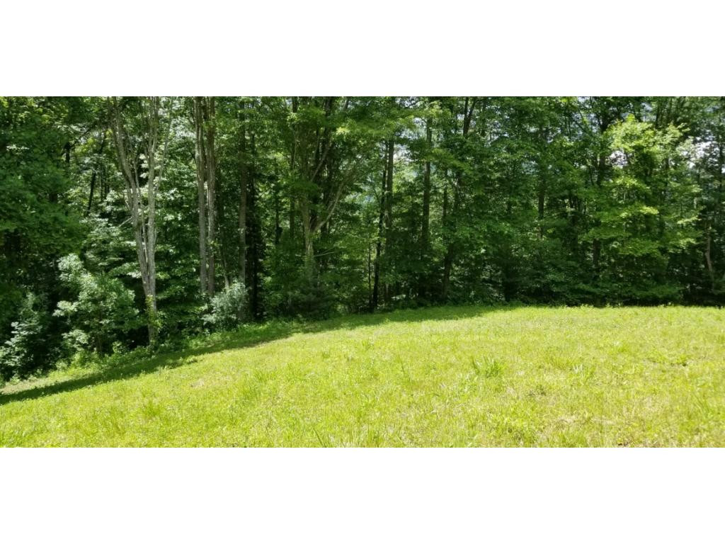 210 Pine Hill Road Unicoi, TN 37692 - Photo 30 of 34 Photo 30