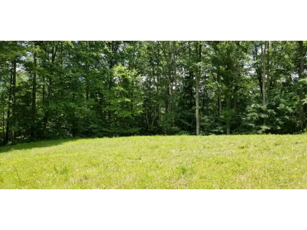 210 Pine Hill Road Unicoi, TN 37692 - Photo 32 of 34 Photo 32