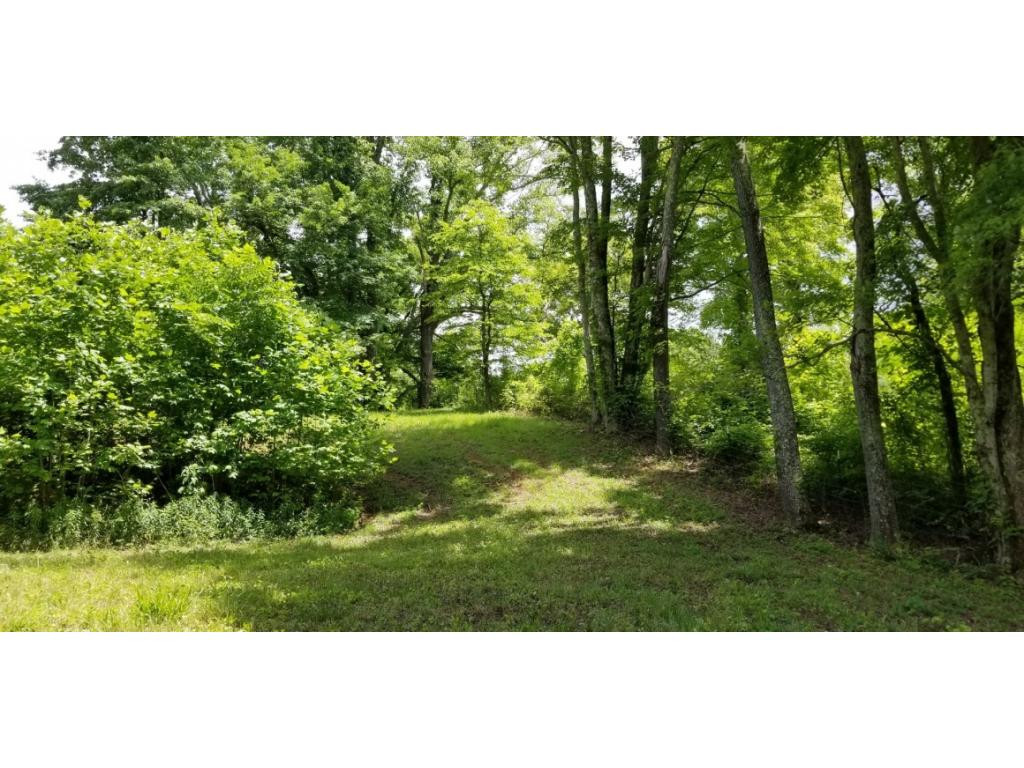 210 Pine Hill Road Unicoi, TN 37692 - Photo 33 of 34 Photo 33
