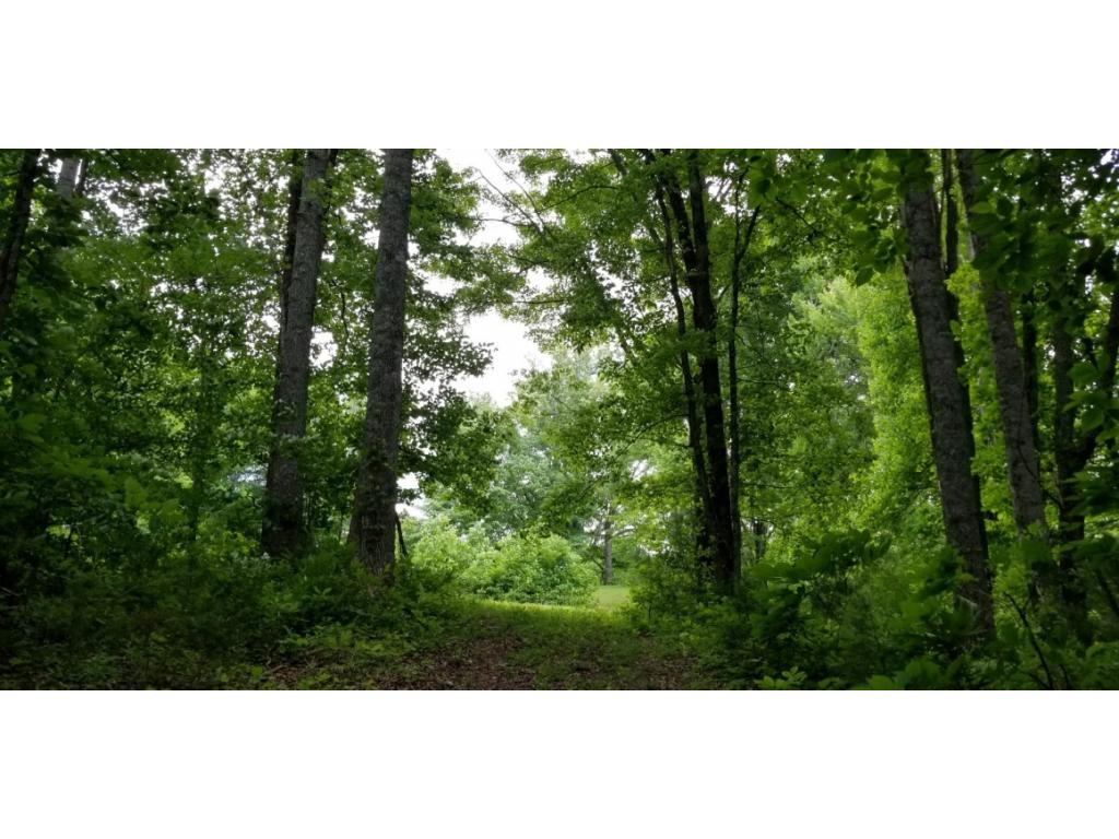 210 Pine Hill Road Unicoi, TN 37692 - Photo 6 of 34 Photo 6