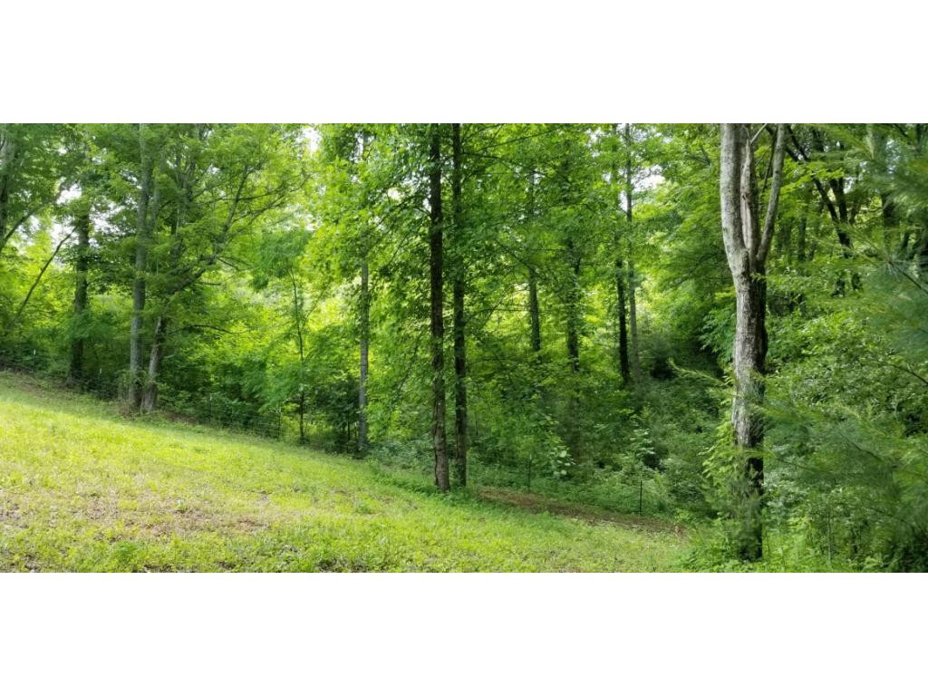 210 Pine Hill Road Unicoi, TN 37692 - Photo 7 of 34 Photo 7