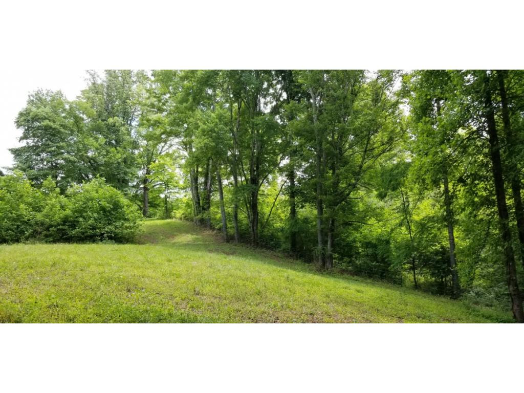 210 Pine Hill Road Unicoi, TN 37692 - Photo 8 of 34 Photo 8