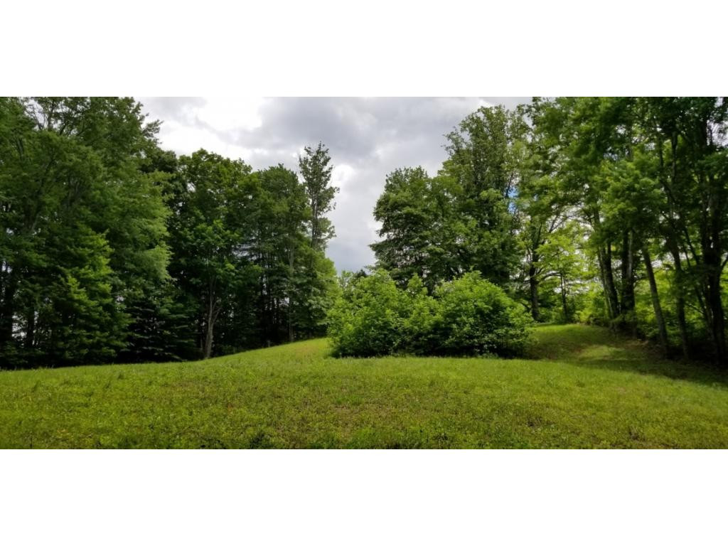 210 Pine Hill Road Unicoi, TN 37692 - Photo 9 of 34 Photo 9