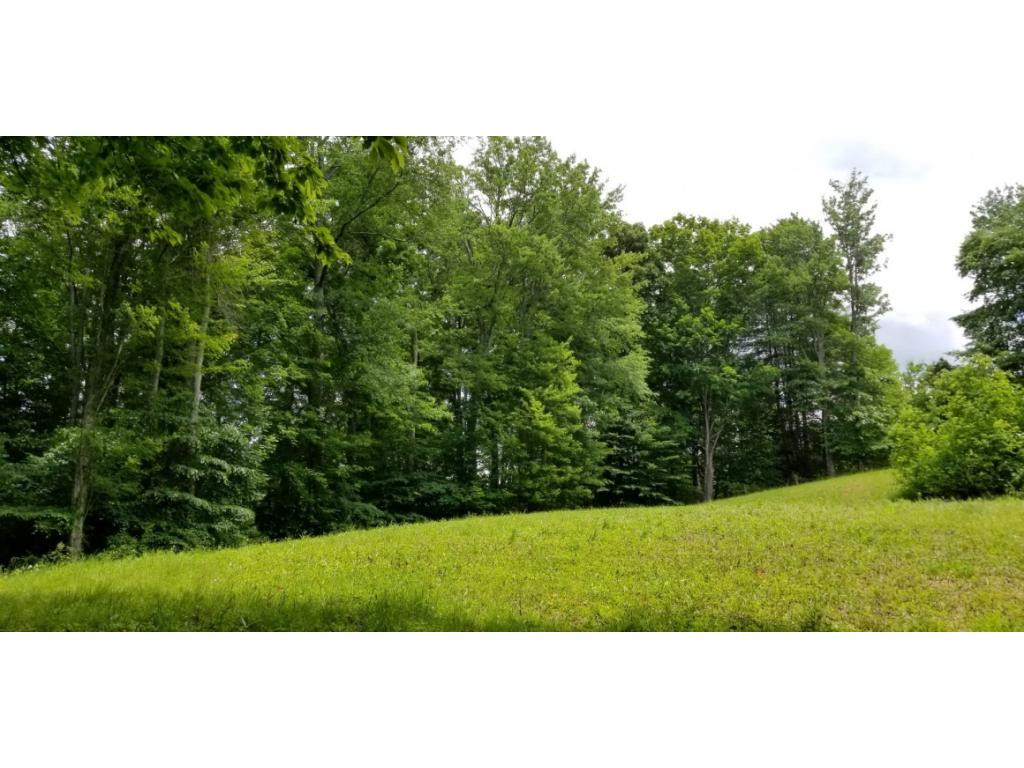 210 Pine Hill Road Unicoi, TN 37692 - Photo 10 of 34 Photo 10