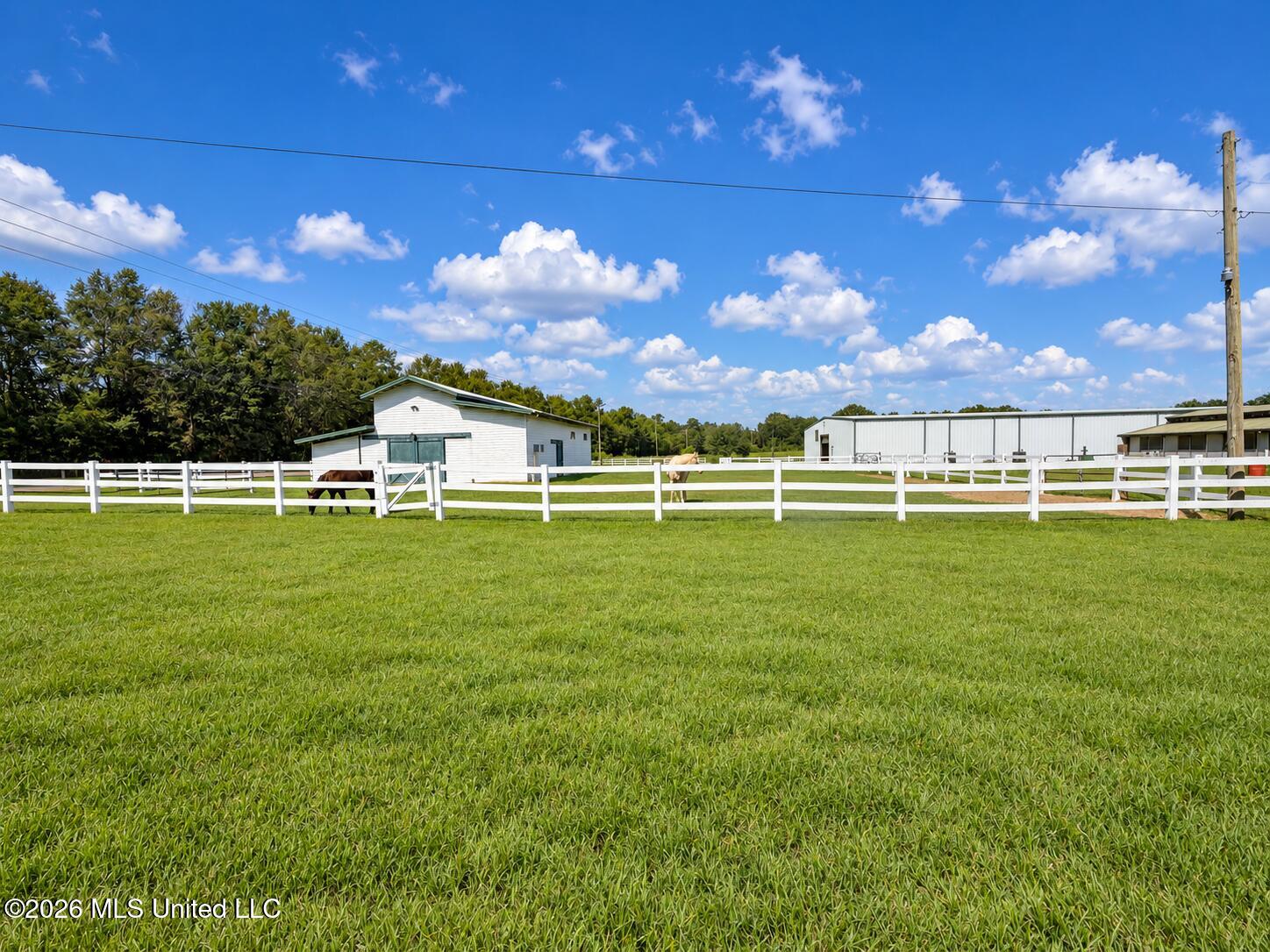 11450 County Farm Road Gulfport, MS 39503 - Photo 79 of 84 Sunlit Equestrian Paddock with Two Horse