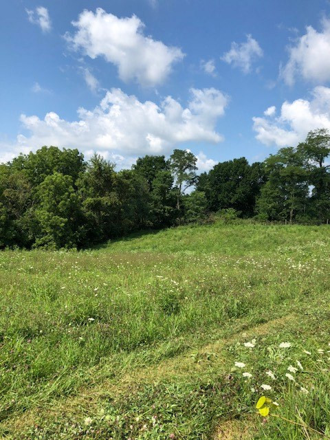 215-8 Peaceful Hollow Road Dry Ridge, KY 41035 - Photo 2 of 9