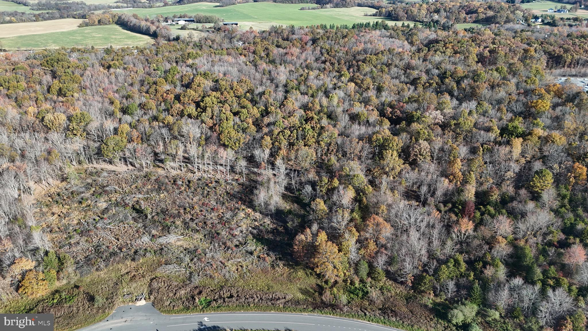 Lot 7 Whiting Road Marshall, VA 20115 - Photo 16 of 21