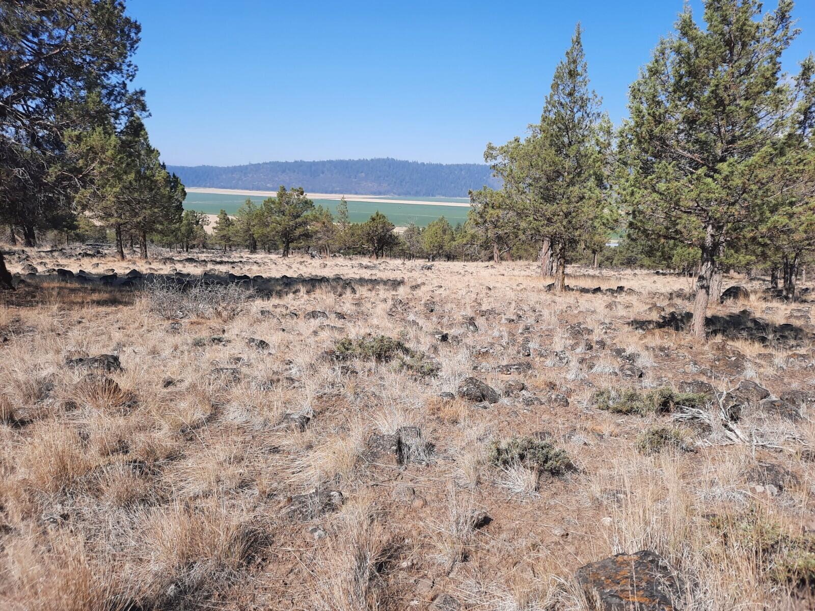 Lot 797 Cooper's Hawk Road Klamath Falls, OR 97601 - Photo 7 of 9 20210808_100642