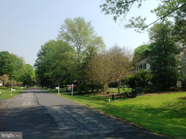 14117 Sturtevant Road Silver Spring, MD 20905 - Photo 2 of 30 a view of a park with large trees