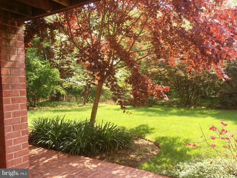 14117 Sturtevant Road Silver Spring, MD 20905 - Photo 22 of 30 a view of yard with seating area