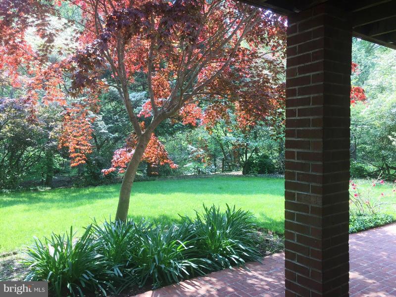14117 Sturtevant Road Silver Spring, MD 20905 - Photo 23 of 30 a view of a park with large trees