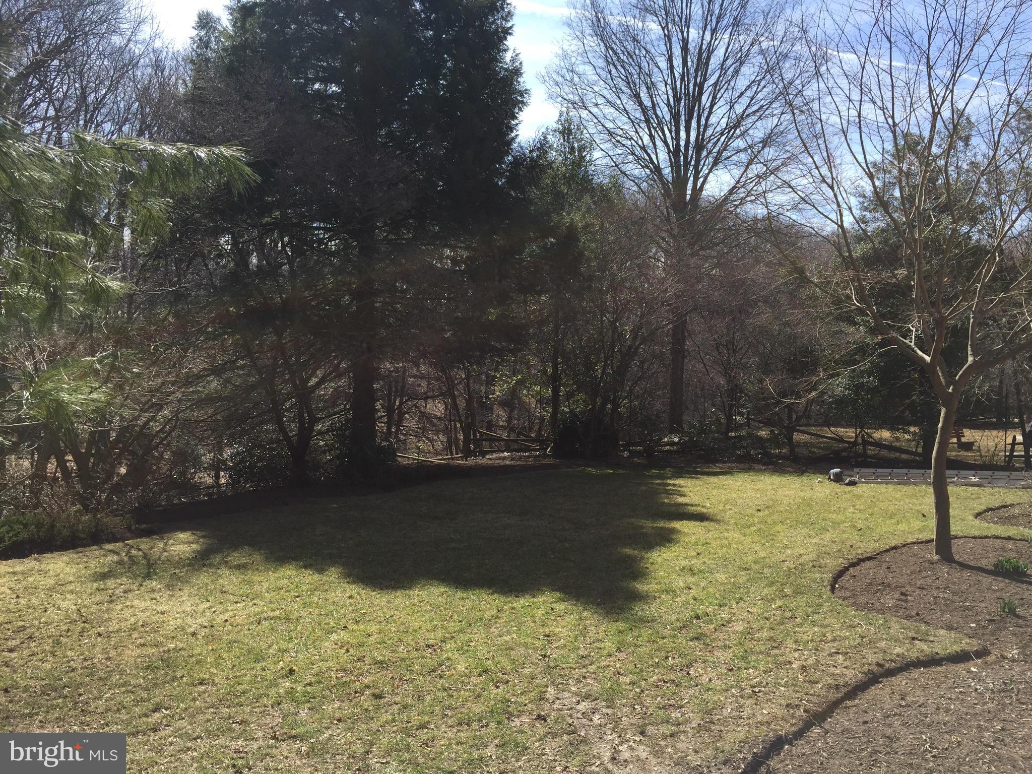 14117 Sturtevant Road Silver Spring, MD 20905 - Photo 26 of 30 a view of backyard with green space