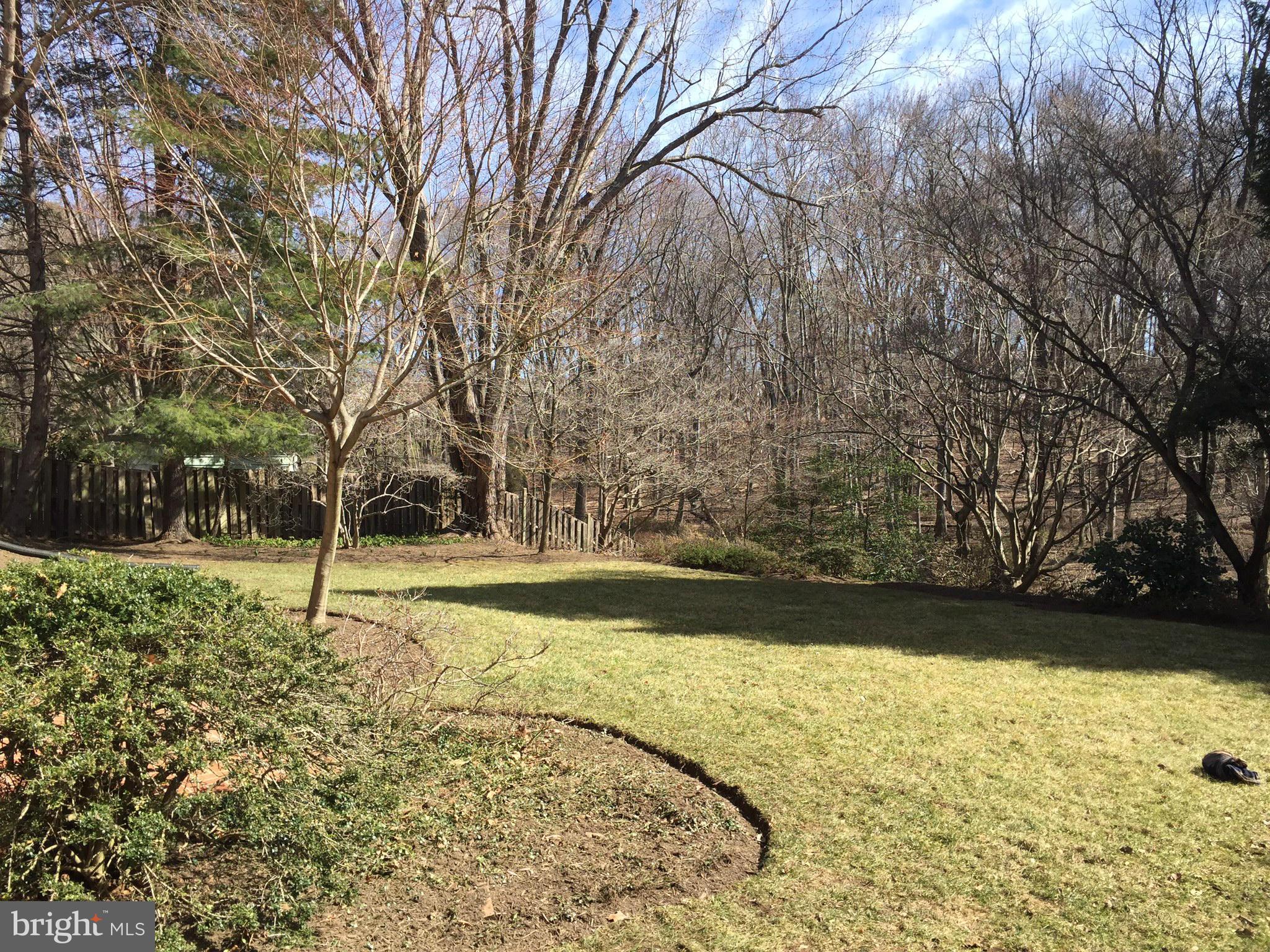 14117 Sturtevant Road Silver Spring, MD 20905 - Photo 27 of 30 a backyard of a house with lots of green space