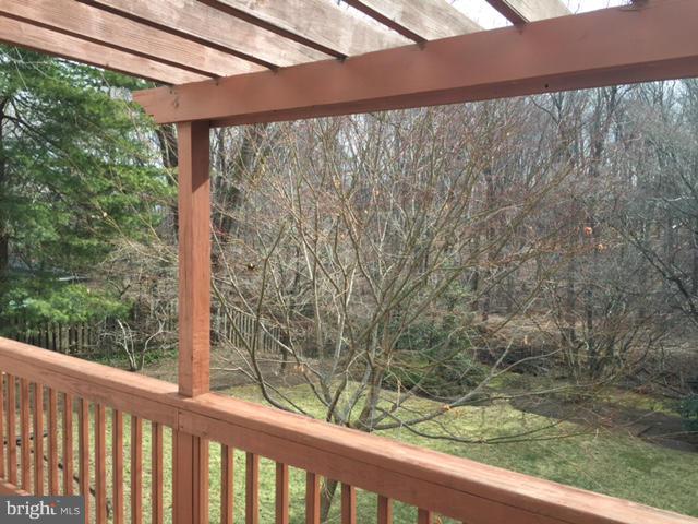 14117 Sturtevant Road Silver Spring, MD 20905 - Photo 29 of 30 a view of a forest from a window