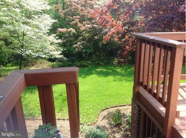 14117 Sturtevant Road Silver Spring, MD 20905 - Photo 30 of 30 a view of a backyard with potted plants and large tree