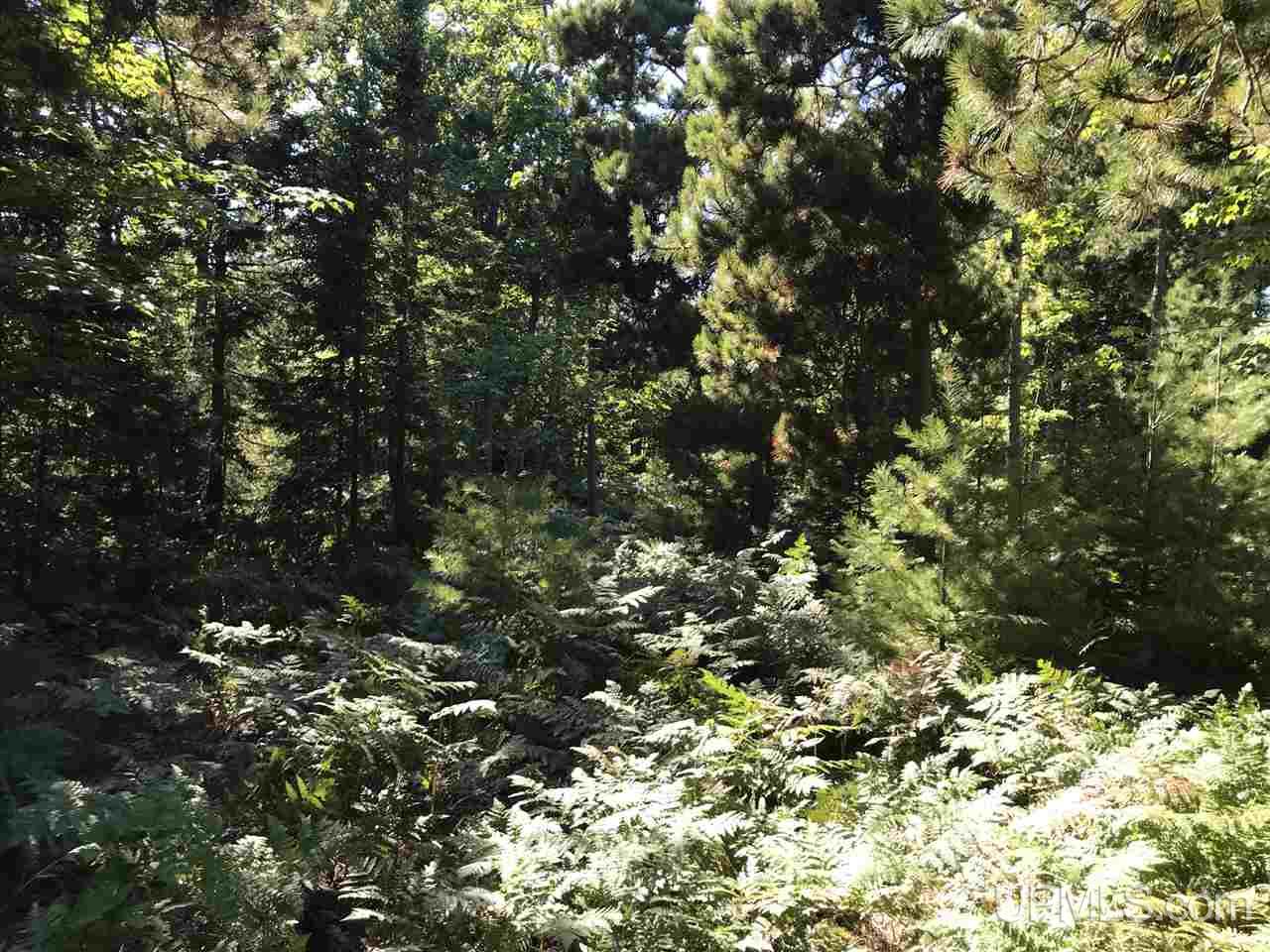Tbd Five Mile Point Road, Unit 38 10 ACRES Allouez, MI 49805 - Photo 13 of 13