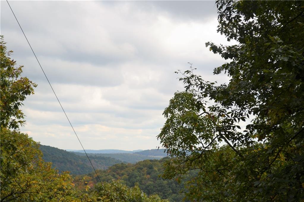 0 Hooks Station Road Templeton, PA 16259 - Photo 11 of 19 a backyard of a house