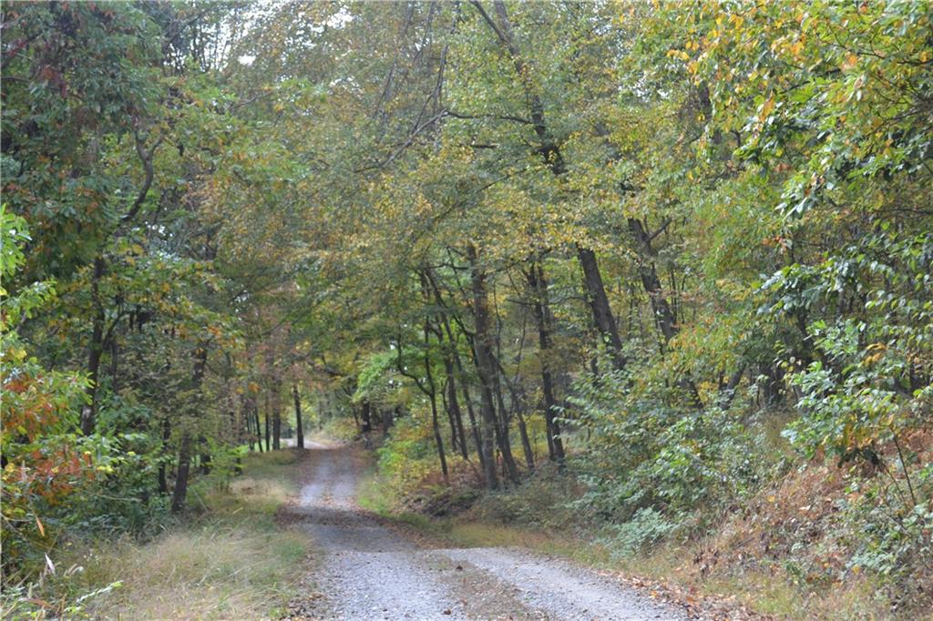 0 Hooks Station Road Templeton, PA 16259 - Photo 12 of 19 a view of a forest with trees in the background