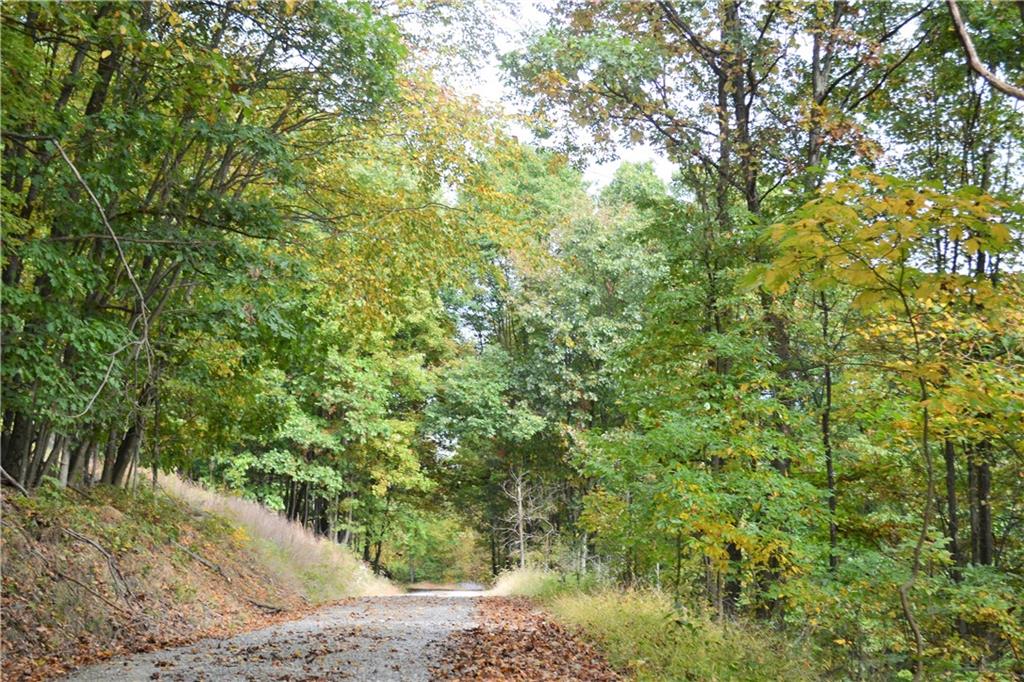 0 Hooks Station Road Templeton, PA 16259 - Photo 13 of 19 a view of a lush green forest
