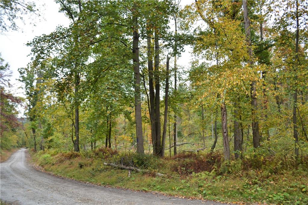 0 Hooks Station Road Templeton, PA 16259 - Photo 5 of 19 a view of outdoor space and green space