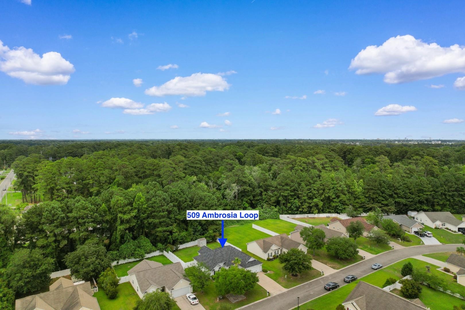 509 Ambrosia Loop Myrtle Beach, SC 29579 - Photo 34 of 38