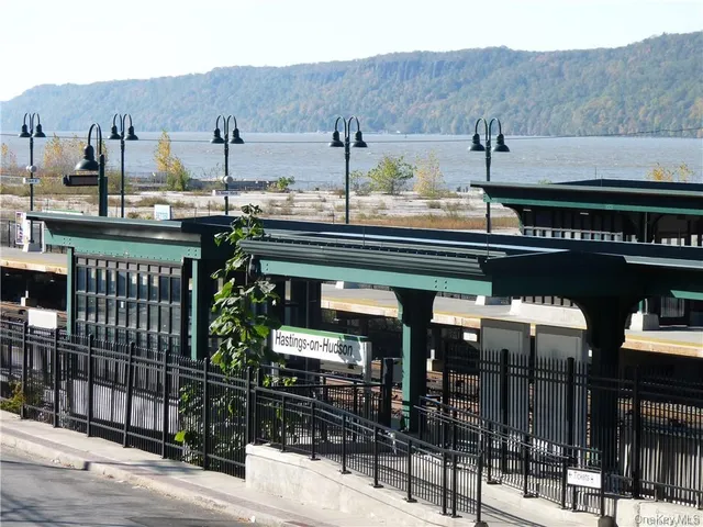 a view of a park with large trees