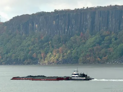 a view of a forest with a car parked