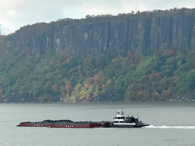 a view of a forest with a car parked