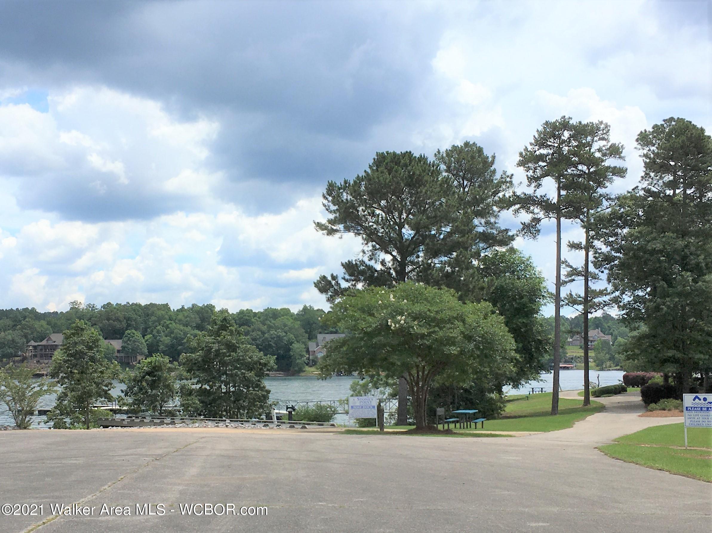 Lot 25 Stoney Point/trail Road Double Springs, AL 35553 - Photo 5 of 16 Gallery Image 5