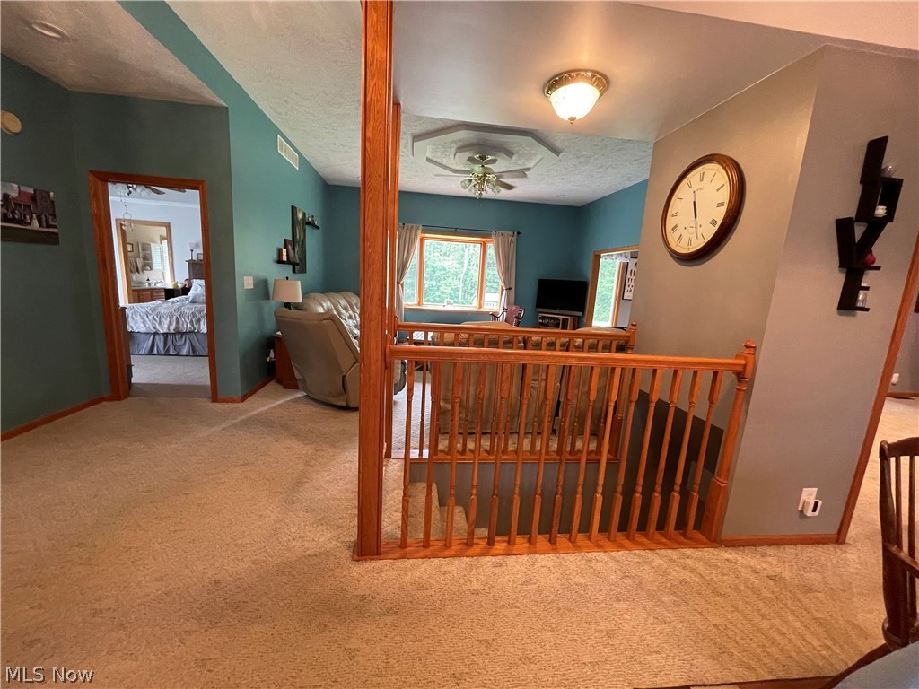 37520 Harry's Ridge Road Barnesville, OH 43713 - Photo 14 of 20 Gallery Image 14