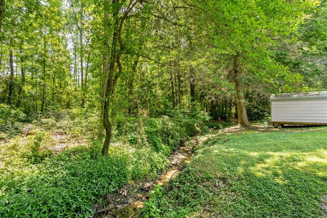 116 Parkview Road Iva, SC 29655 - Photo 37 of 44 A tranquil stream meanders through a lush, verdant landscape, offering a serene natural backdrop.