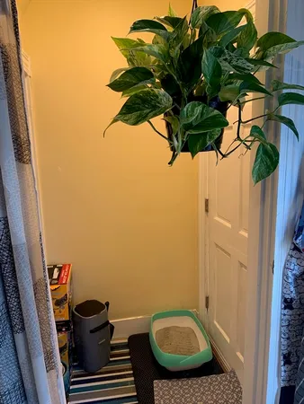 a bathroom with a sink a toilet and a window