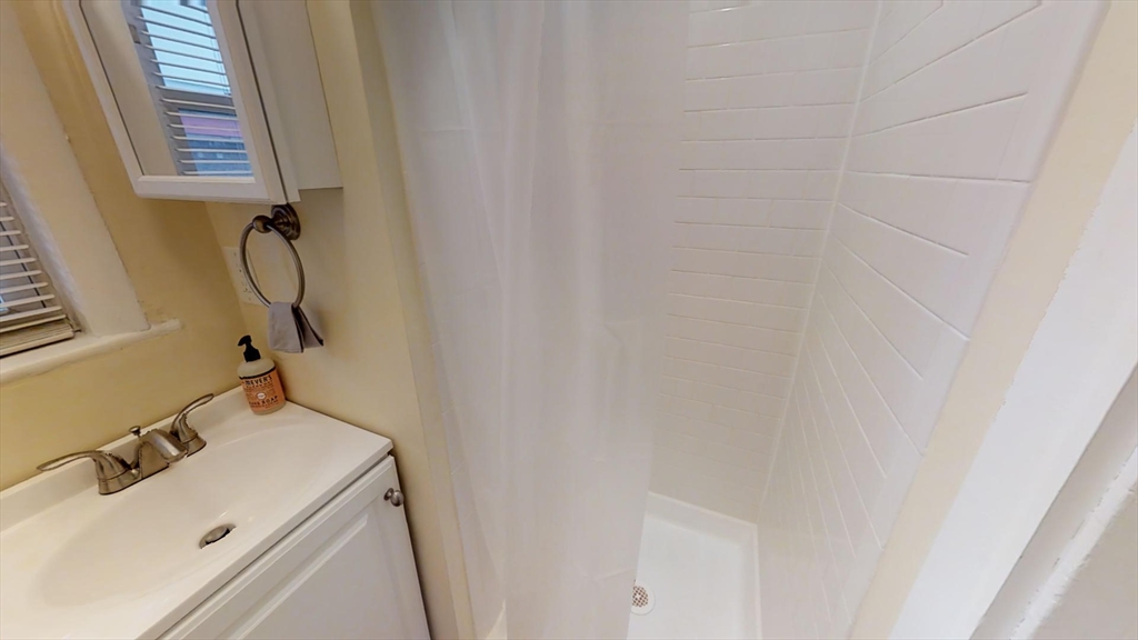 5 Blake Street, Unit 1 Cambridge, MA 02140 - Photo 4 of 41 a bathroom with a sink and washing machine
